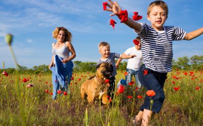 Workshop Aromaöle: Aus der Natur – für die Familie