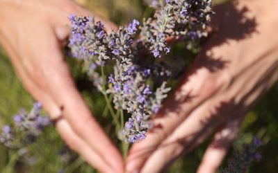 Workshop Aromaöle: Öle für jeden Tag