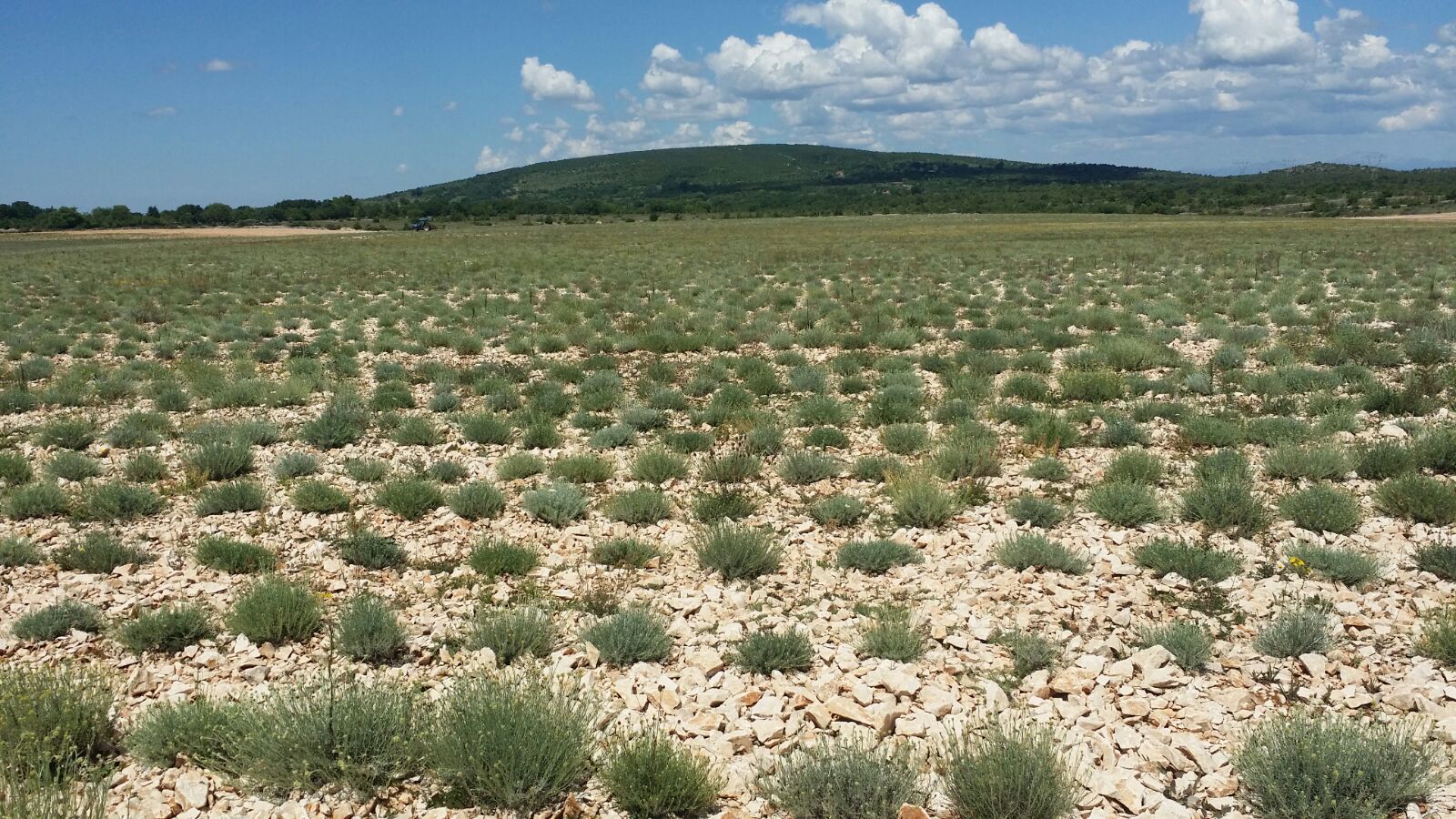 Kroatien Farm Dalmatia