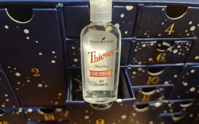 Thieves Hand Gel – Young Living Thieves Produkte